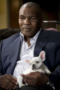 Mike Tyson Loves Dogs